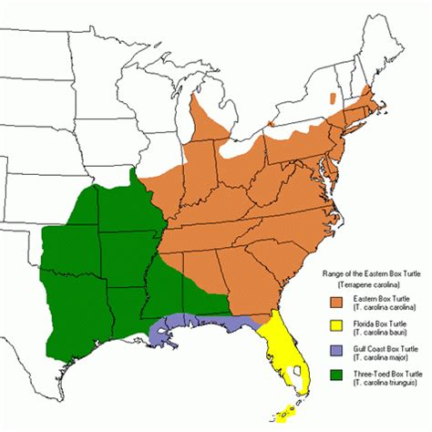 box turtle distribution map|east box turtle habitat.